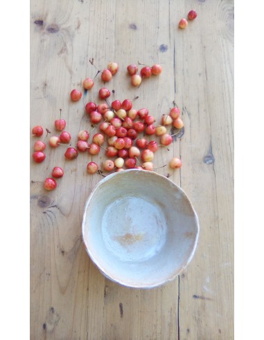 Bol en céramique cuisine provençale