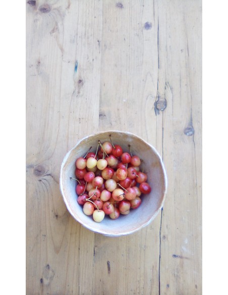 Bol en céramique cuisine provençale