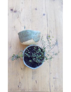 Pot de fleurs en céramique... 2